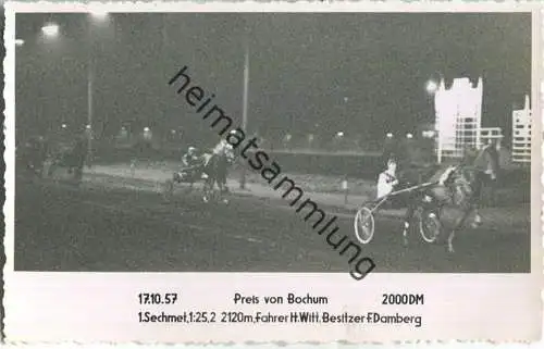 Trabrennen - Preis von Bochum - Sechmet - Fahrer Heinz Witt - Besitzer F. Damberg - Foto-AK 17.10.1957