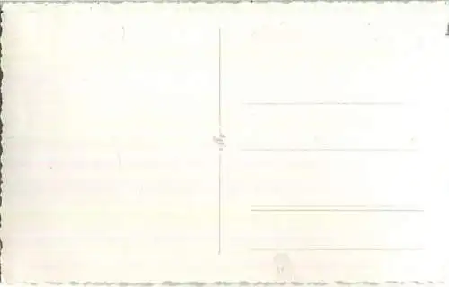 Trabrennen - Preis von Bochum - Sechmet - Fahrer Heinz Witt - Besitzer F. Damberg - Foto-AK 17.10.1957