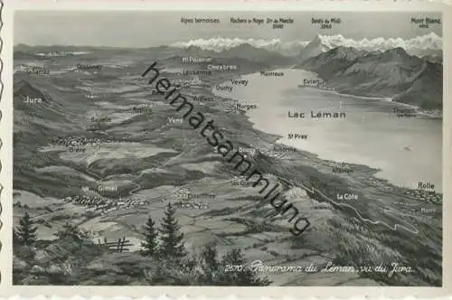 Lac Leman - Panorama - Vue du Jura - Foto-AK - Verlag Perrochet Lausanne