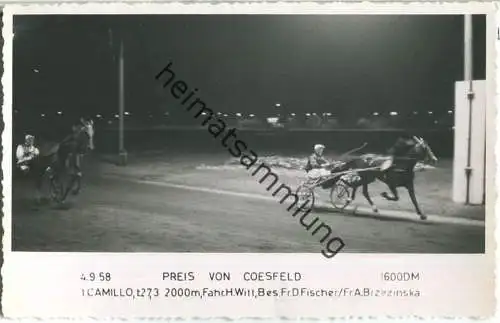 Trabrennen - Preis von Coesfeld - Camillo - Fahrer Heinz Witt - Besitzer Fr. D. Fischer / Fr. A. Brzezinska  - Foto-AK