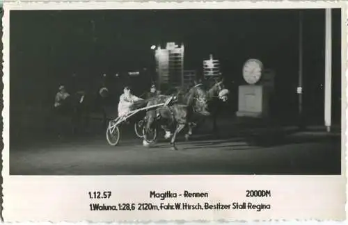 Trabrennen - Magtka Rennen - Waluna - Fahrer W. Hirsch - Besitzer Stall Regina - Foto-AK 01.12.1957