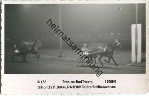 Trabrennen - Preis von Bad Triberg - Tillrath - Fahrer Heinz Witt - Besitzer Stall Weissenturm - Foto-AK 16.01.1958