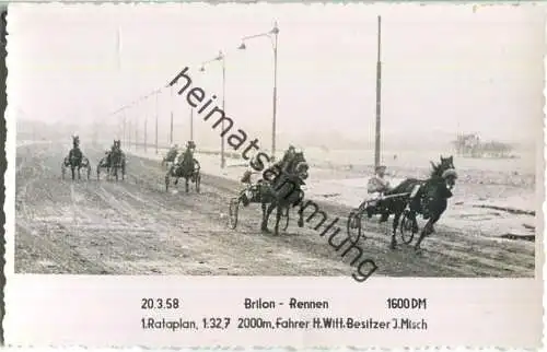 Trabrennen - Brilon Rennen - Rataplan - Fahrer Heinz Witt - Besitzer J. Misch - Foto-AK 20.03.1958