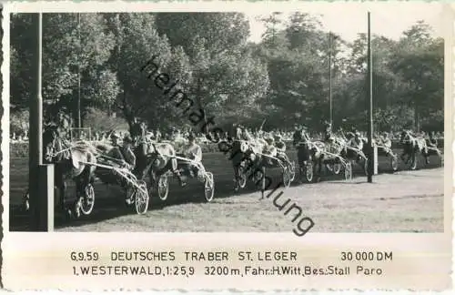 Trabrennen - Deutsches Traber St. Leger - Westerwald - Fahrer Heinz Witt - Besitzer Stall Regina - Foto-AK 06.09.1959