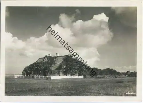 Sylt - Friesisches Gehöft - Foto-AK Grossformat 30er Jahre - Verlag H. v. Seggern & Sohn Hamburg