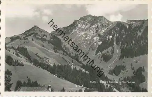 Rochers de Naye - Foto-AK - Verlag Perrochet Lausanne
