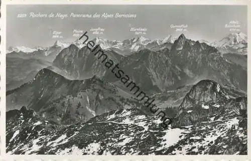 Rochers de Naye - Foto-AK - Verlag Perrochet Lausanne