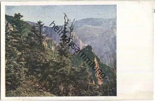 Rax - Am Steigen - Blick zum Bärenloch - AK 20er Jahre - Verlag A. G. W.