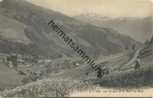 Les Avants - Dent du Midi - Verlag Jullien freres Geneve gel. 1912