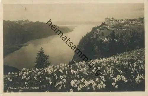 Caux - Palace Hotel - Foto-AK - Verlag Photoglob Zürich gel. 1926