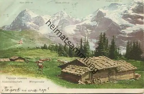 Wengernalp - Alpenlandschaft gel. 1910