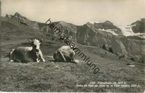 Planachaux - Dents du Midi - Tour Lalliere - Foto-AK - Verlag O. Sartori Lausanne gel. 1949