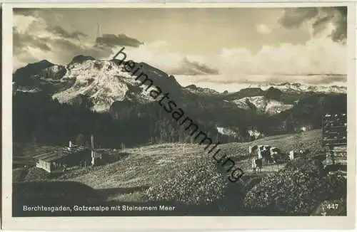 Berchtesgaden - Gotzenalpe - Foto-AK 30er Jahre - Verlag Martin Herpich München