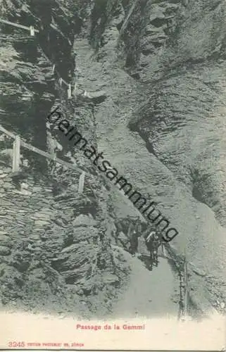 Passage de La Gemmi - Muli - Verlag Photoglob Co Zürich gel. 1912