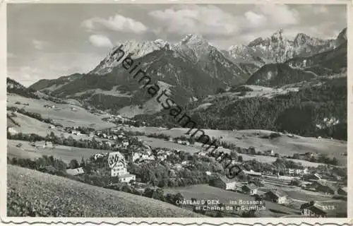 Chateau d'Oex - les Bossons - Chaine de la Gumfluh - Foto-AK - Verlag Perrochet Lausanne - gel.