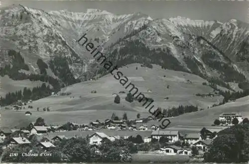 Chateau d'Oex - Foto-AK - Verlag Marcel Rouge Lausanne