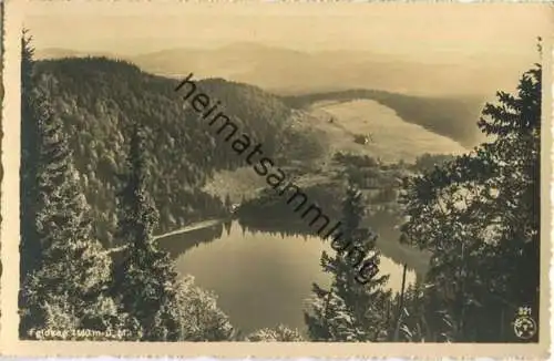 Feldberg - Feldsee - Foto-AK - Verlag Chr. Franz Titisee