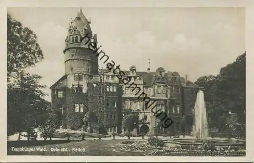 Detmold - Schloss - Foto-AK - Verlag Hermann Lorch Dortmund