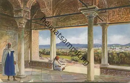 Tunis - Vue prise du Belvedere - Edition Römmler & Jonas Dresden