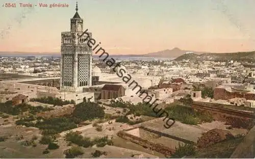 Tunis - Vue generale - Edition Photoglob Co. Zürich