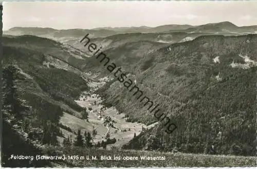 Feldberg - Blick ins Wiesental - Foto-Ansichtskarte - Verlag Karl Alber Freiburg