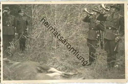 Kurische Nehrung - Elch - Jagd - Jäger - Foto-Ansichtskarte - Verlag Fritz Krauskopf Königsberg