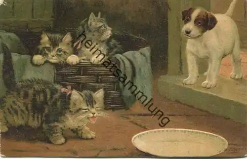 drei kleine Katzen und ein Hund mit leuchtenden (aufgeklebter Strass) Augen - Künstlerkarte signiert B. Cobbe - Prägedru