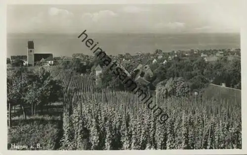 Hagnau am Bodensee - Gasthof Pension Seegarten - Strand-Café - Besitzer M. Haas Hagenau - Foto-AK - Verlag Franckh Stutt