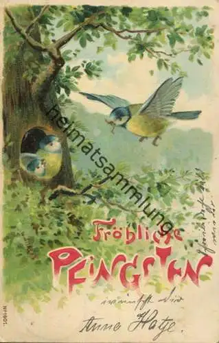 Pfingsten - Fütterung der Blaumeisen - Prägedruck gel. 1906
