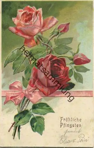 Pfingsten - Rosen gel. 1912
