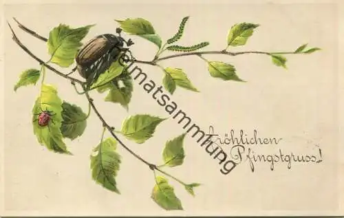 Pfingsten - Marienkäfer - Maikäfer - Prägedruck gel. 1915