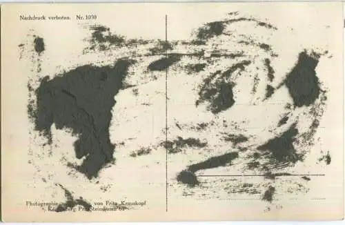 Kurische Nehrung - Aesender Elch - Foto-Ansichtskarte - Verlag Fritz Krauskopf Königsberg