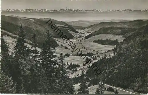 Blick vom Feldberg ins Menzenschwander Tal - Foto-AK - Verlag Berger-Foto Menzenschwand