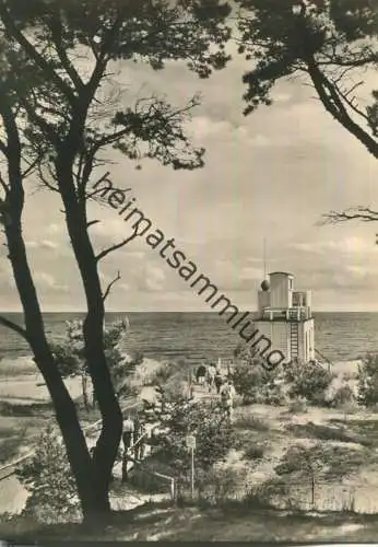 Trassenheide - Weg zum Strand - Foto-Ansichtskarte - Verlag Gebr. Garloff Magdeburg