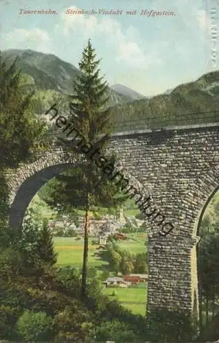 Tauernbahn - Steinbach-Viadukt mit Hofgastein - Verlag Purger & Co. München 1911