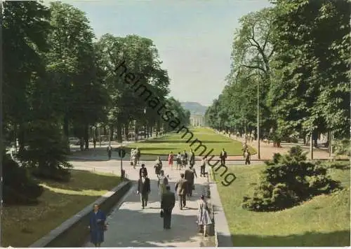 Bonn - Poppelsdorfer Allee und Schloss - Verlag Jos. Kessel Niederdollendorf