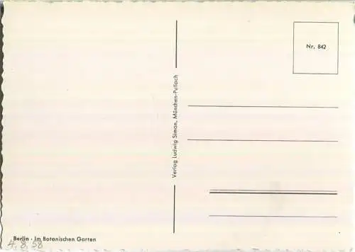 Berlin - Im Botanischen Garten - Verlag Ludwig Simon München 50er Jahre