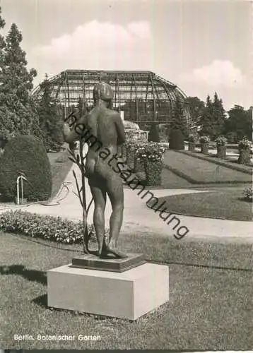 Berlin - Im Botanischen Garten - Foto-Ansichtskarte - ohne Verlagsangabe 50er Jahre