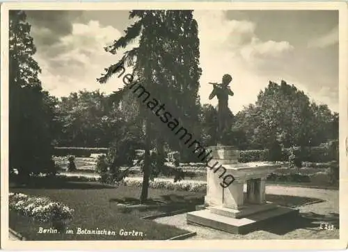 Berlin im Botanischen Garten - Foto-Ansichtskarte - Verlag Photo R. Lissner Berlin 50er Jahre