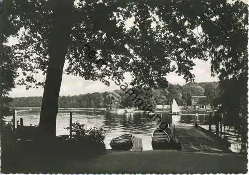 Berlin-Grunewald - Pfaueninsel - Foto-Ansichtskarte - Hans Andres Verlag Berlin 50er Jahre