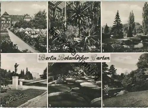 Berlin - Botanischer Garten - Verlag Herbert Maschke Berlin