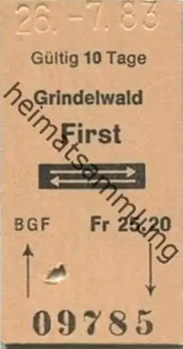 Schweiz - Gondelbahn Grindelwald First und zurück - Fahrkarte 1983