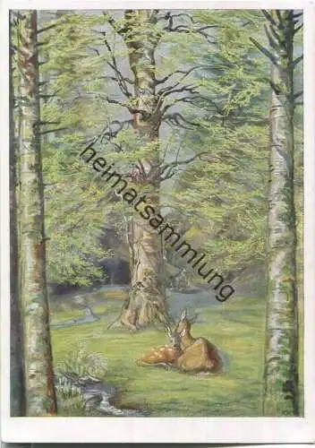 Rehe im Wald - Karl-Kühnle-Postkarte 42 - Karl Rohm Verlag Lorch 30er Jahre