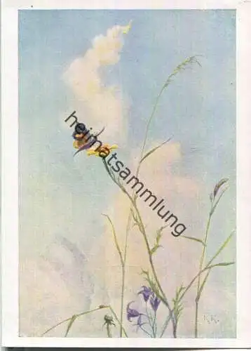Schmetterling - Karl-Kühnle-Postkarte 70 - Karl Rohm Verlag Lorch 30er Jahre