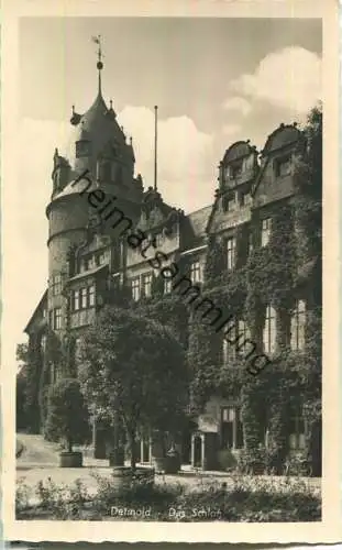 32361Detmold - Schloss - Foto-AK - Verlag Schöning & Co. Lübeck