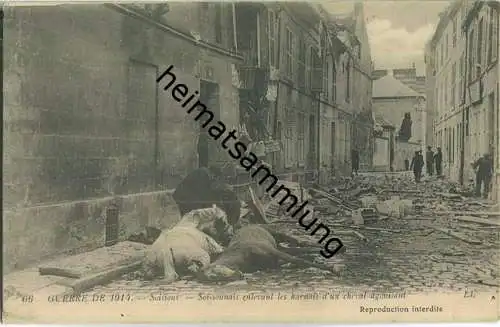 Soissons - Soissonais enlevant les harnais d'un cheval agonisant