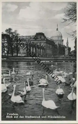 Potsdam - Stadtschloss und Nikolaikirche