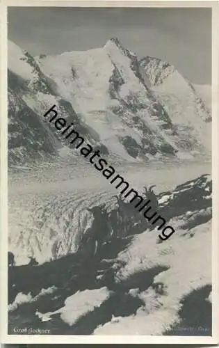 Grossglockner - Gemsen - Foto-AK 30er Jahre - Verlag Schildknecht Graz