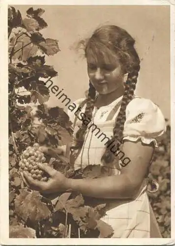 Blaukreuzjugendwerk - Verdirb sie nicht... - Verlag Conzett & Huber Zürich - gel. 1946