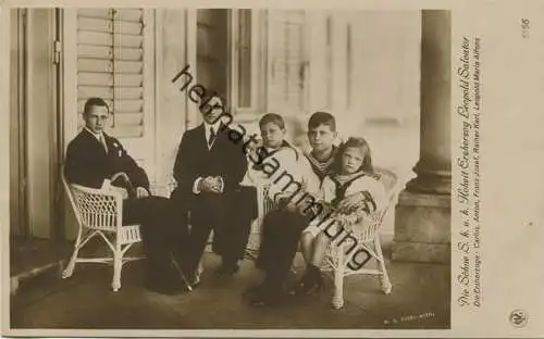 Österreich - Erzherzog Salvator - Die Söhne - Carlos - Anton - Franz-Josef - Rainer Karl - Leopold Maria Alfons - Verlag